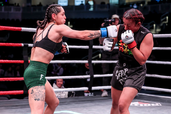 Action Amateur MMA Gloves