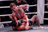 Action MMA Gloves